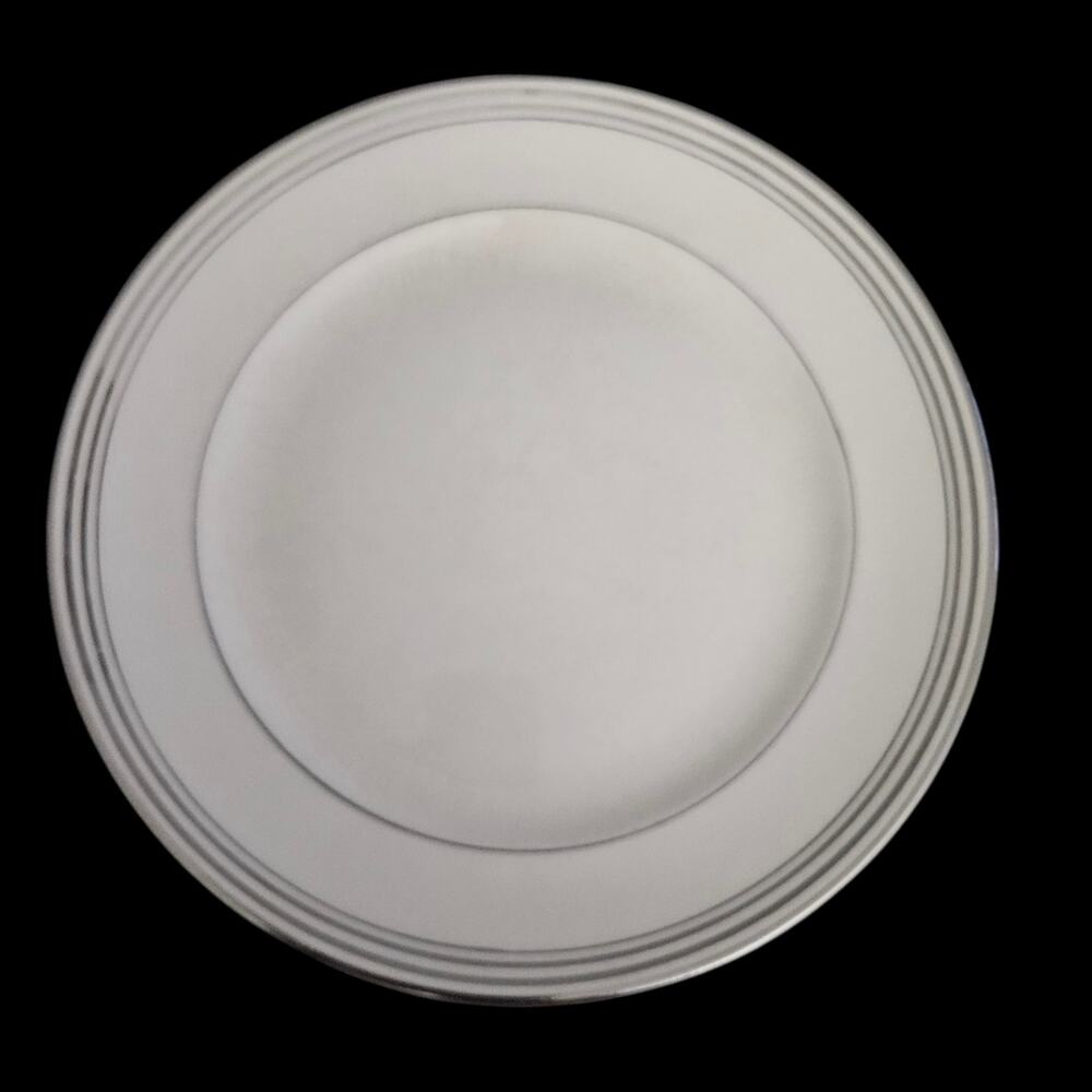 Pope-Gosser Franklin Dinner Plates Set of 2 Silver Band 10" Vintage